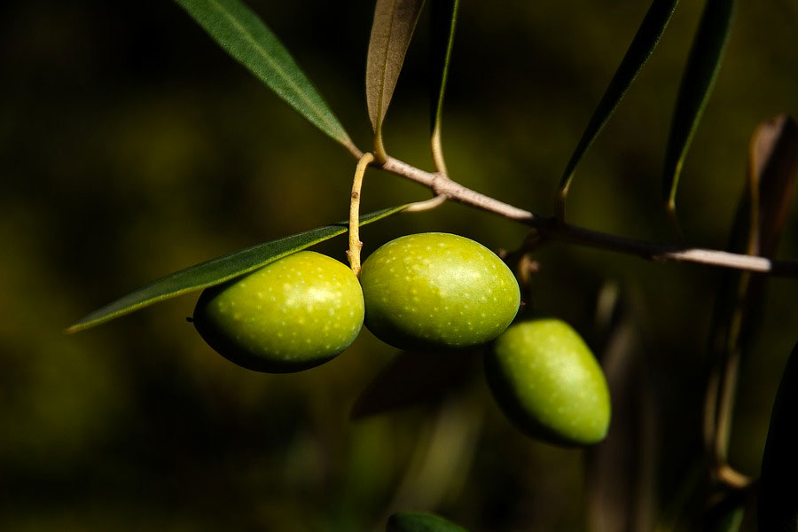 olives