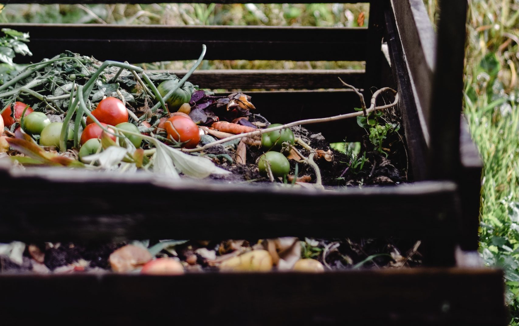 How do I keep maggots away from my compost? Garden Center Oregon